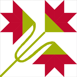 carolina lily 1 inch